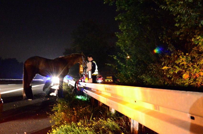 VU A3 Rich Koeln AS Lohmar Rastplatz Koenigsforst  P51.jpg